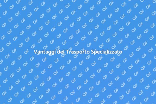 Rivoluziona il Tuo Trasporto Oggi!