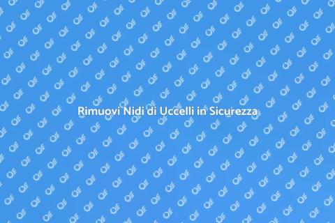 Rimuovere Nido di Uccelli Sicuramente