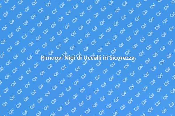 Come Rimuovere Nidi di Uccelli Sicuri