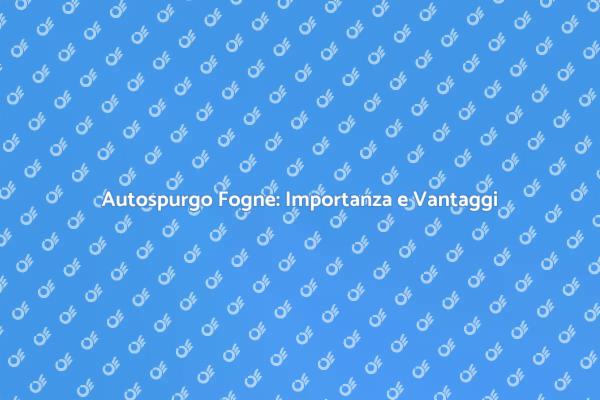 Autospurgo Fogne: Un Servizio Indispensabile