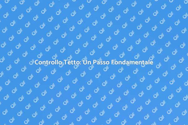 Manutenzione Tetto: Proteggi la Tua Casa