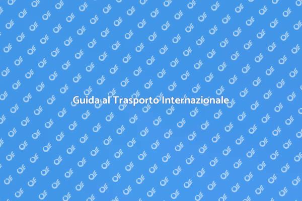 Il Tuo Trasporto Internazionale Facile