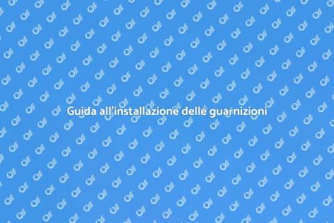 Installazione guarnizioni di tenuta
