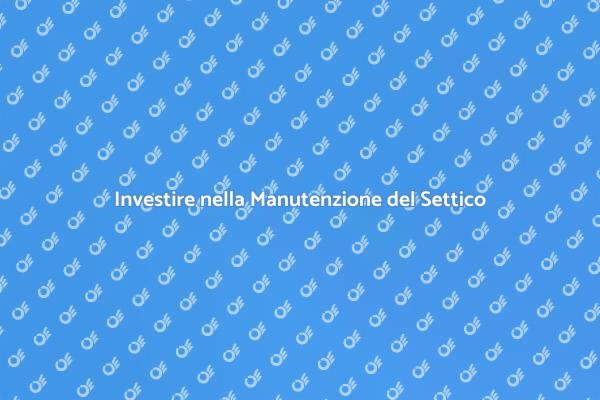 Manutenzione Essenziale del Sistema Settico