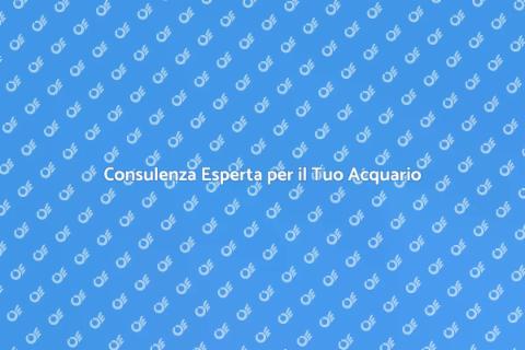 Manutenzione Acquario: Consulenza Esperta