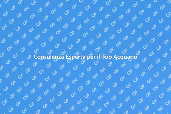 Manutenzione Acquario: Guida Essenziale
