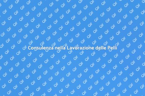 Lavorazione Pelli: Arte e Innovazione