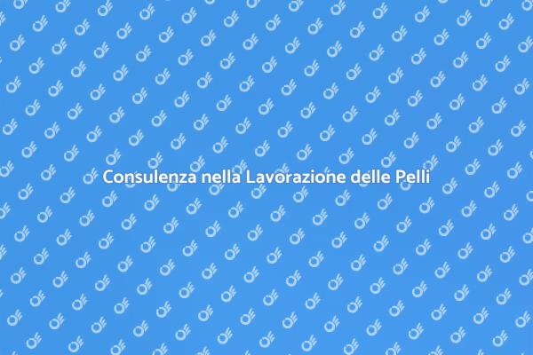 Trasforma la tua Creatività con Pelli