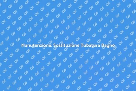 Sostituzione Tubatura Principale Bagno