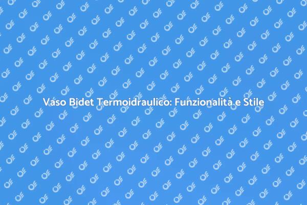 Ristruttura con il Vaso Bidet Termoidraulico