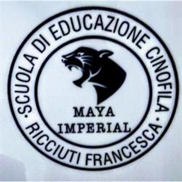 Educatrice Cinofila Csen Ricciuti Francesca - Foto 1
