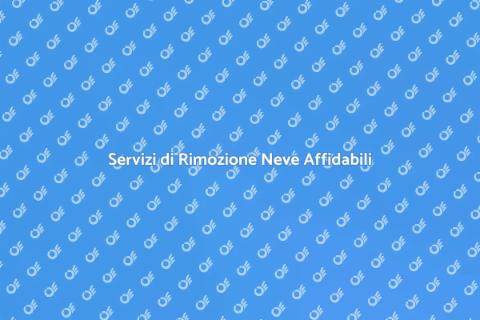 Assistenza Rimozione Neve Efficace