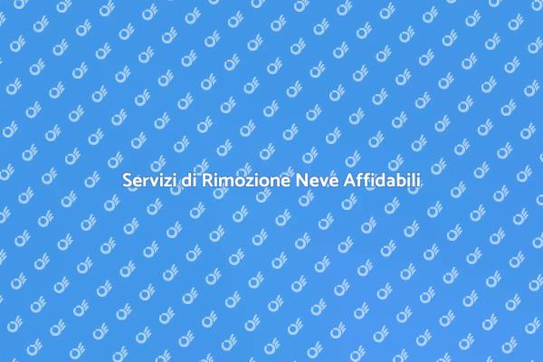 Rimozione Neve: Sicurezza e Comfort