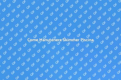 Manutenzione Skimmer Piscine Private