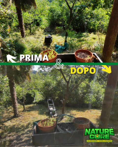 Nature Cure di Bianchina Jacopo - Foto 6