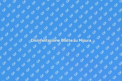 Servizio Personalizzato contro le Blatte