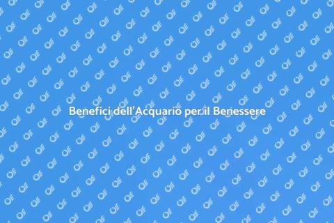 Acquario: Oasi di Serenità Quotidiana