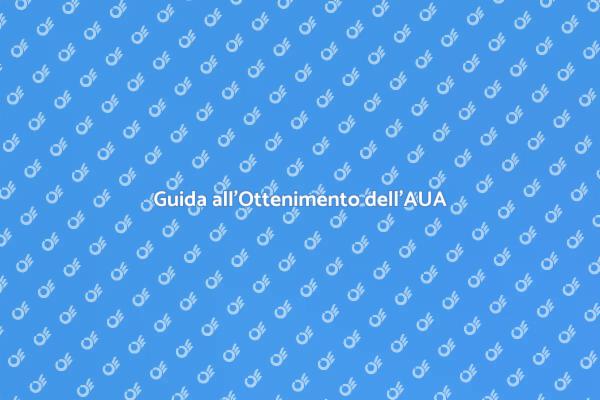 AUA: Chiavi per Ottenere l'Autorizzazione
