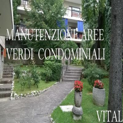 Vital  - Foto 2
