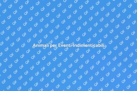 Noleggiare Animali per Eventi