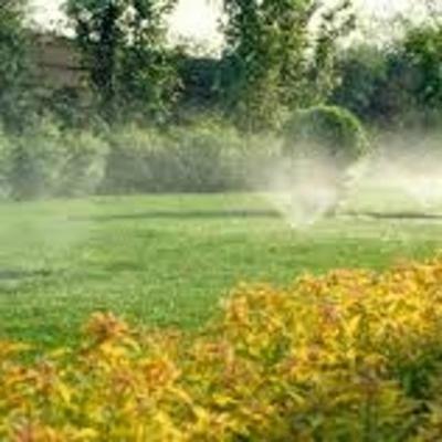 I giardini di Ginevra  - Foto 1