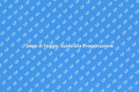Progettare una Siepe di Faggio
