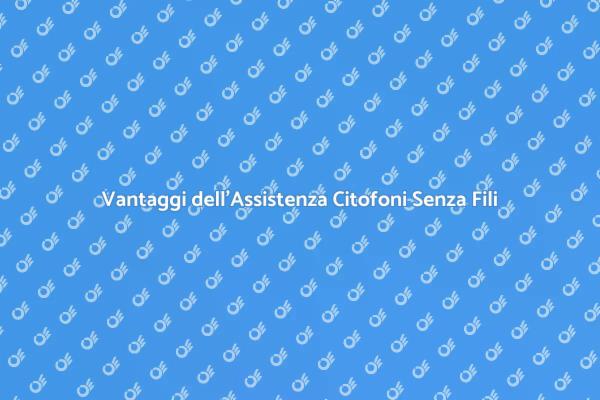 L'importanza dell'Assistenza ai Citofoni