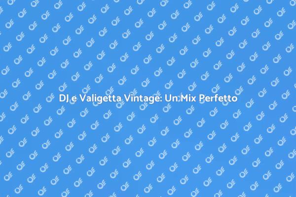Valigetta Vintage: Stile per DJ Moderni
