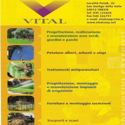 Vital  - Foto 3