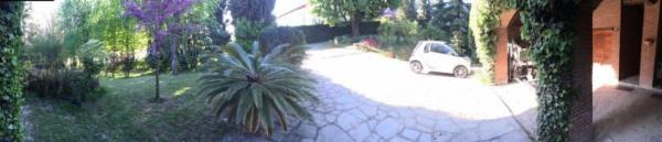 Dogs Accademy - Foto 7