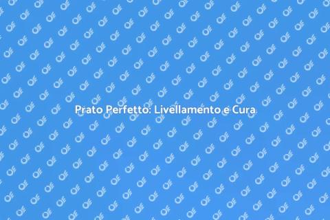 Livellamento del Prato: Estetica e Salute