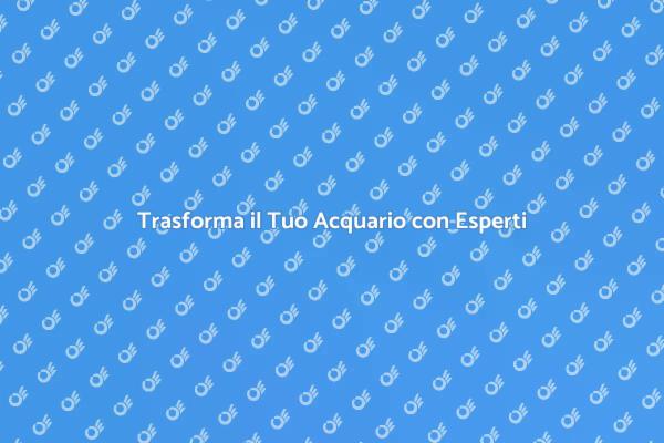Crea il Tuo Acquario da Sogno