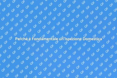 Ispezione Domestica: Perché Richiederla