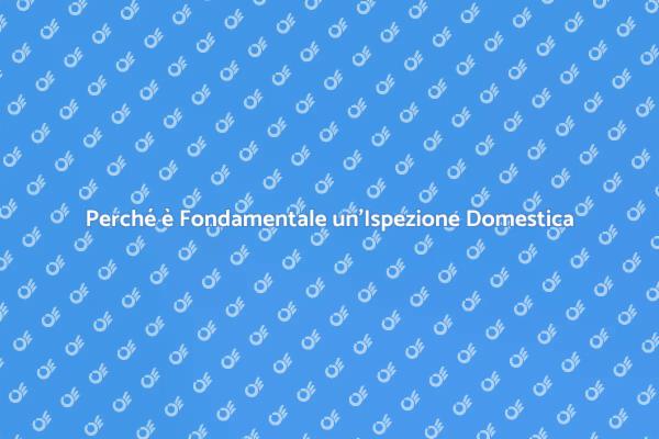 Ispezioni Domestiche: La Chiave della Sicurezza