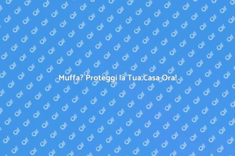 Bonifica e Protezione Antimuffa