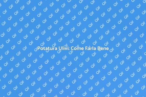 Potatura d'Ulivo: Arte e Qualità