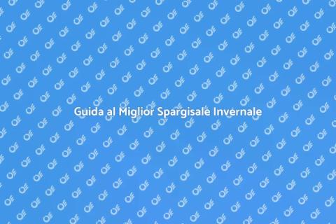Spargisale: Controllo Ghiaccio Sicuro