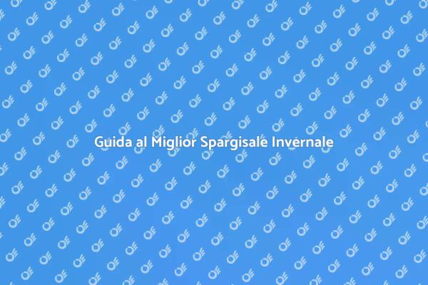 Come Scegliere uno Spargisale Efficace