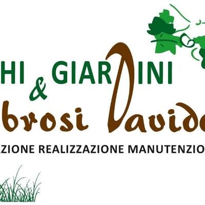AMBROSI DAVIDE