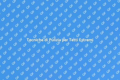 Pulizia Tetto in Situazioni Estreme