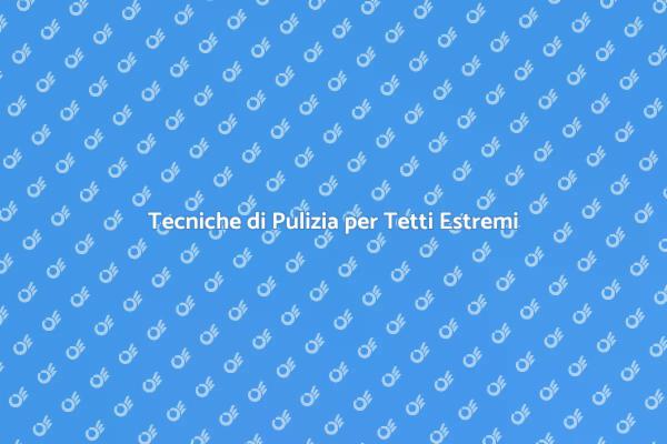 Manutenzione Tetto: Guida per Situazioni Estreme