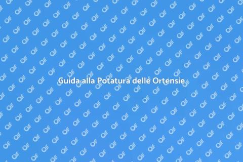 Potare le Ortensie Senza Stressarle