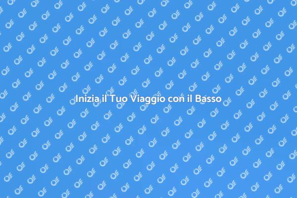 Scopri il Basso: Il Tuo Nuovo Strumento
