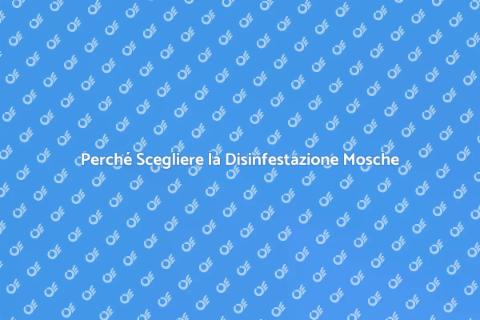 Disinfestazione Periodica per Mosche