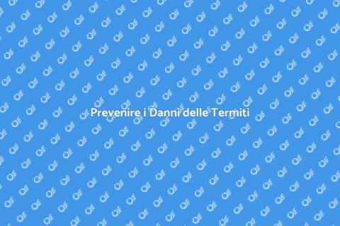 Controllo Danni Termiti in Casa