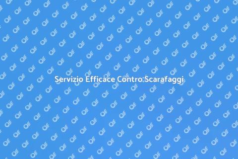 Controllo Scarafaggi Affidabile