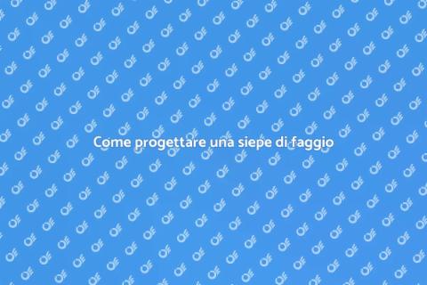 Progettare una siepe di faggio