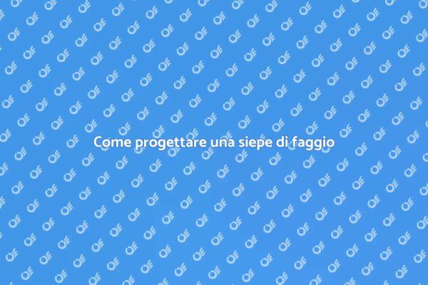 Siepe di faggio: progettazione e cura