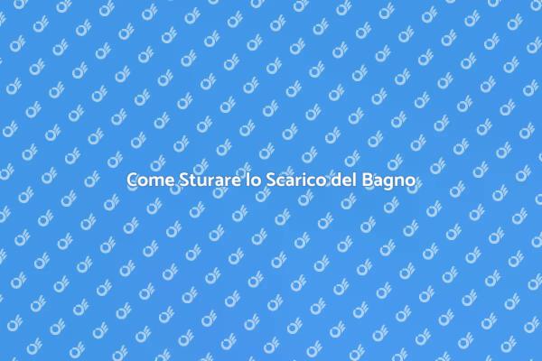Soluzioni per Scarico del Bagno Intasato