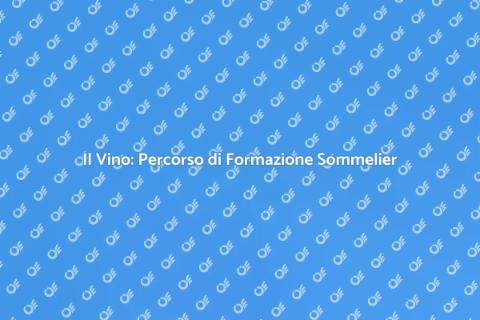 Formazione Sommelier: Comprendere il Vino